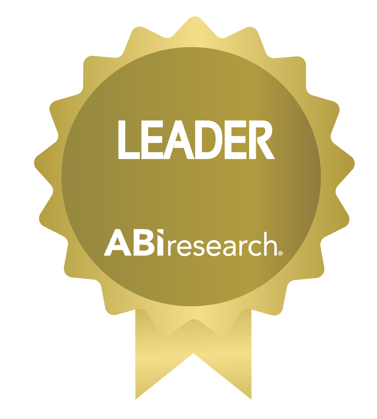 RUCKUS Networks Leader Award