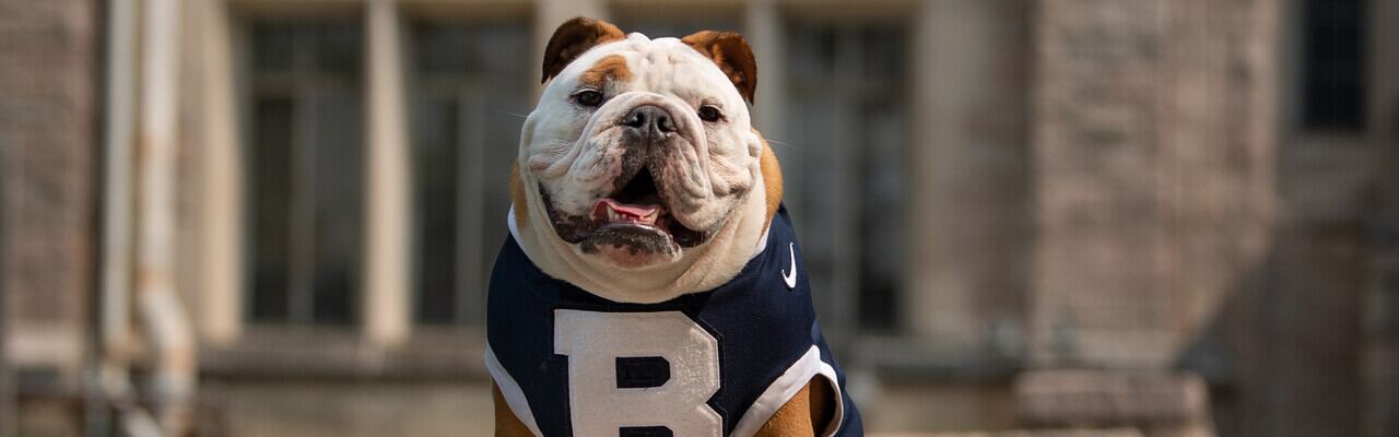 Butler Mascot 07_21_2021_blue.jpg