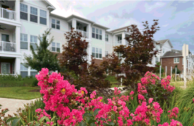 Muti-dwelling unit: retirement home outfitted with RUCKUS wifi.
